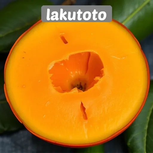 Tanya Jawab Seputar Lakutoto dan Pengalaman Pengguna